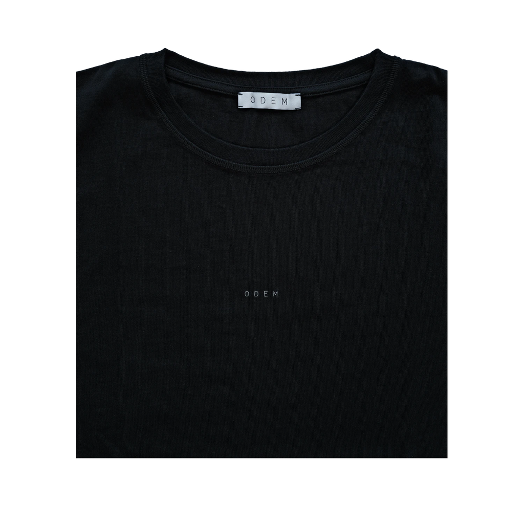TS-01-ODEM