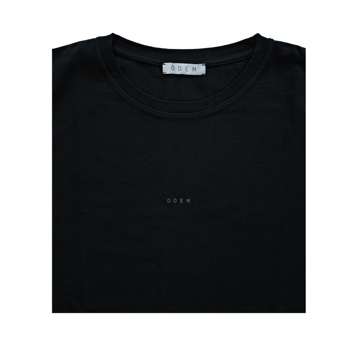 TS-01-ODEM